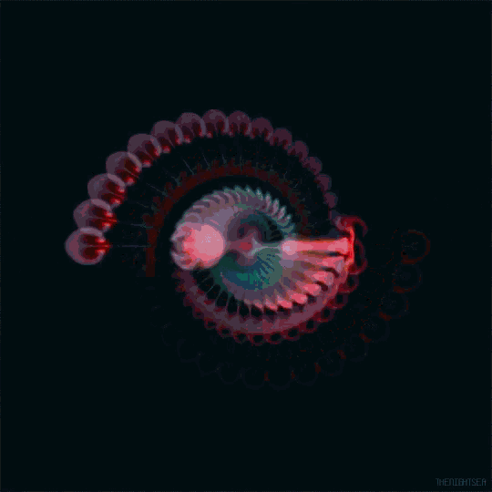 an animated image of a spiral with the name henlighten on the bottom left