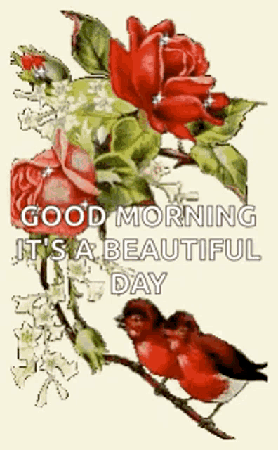 a couple of birds sitting on a branch with flowers and the words good morning it 's a beautiful day .