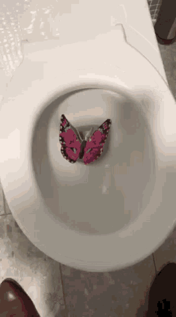 a pink butterfly is sticking out of the bottom of a toilet