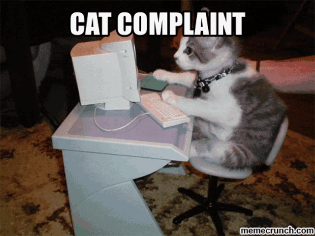 a cat is sitting in front of a computer with the caption cat complaint