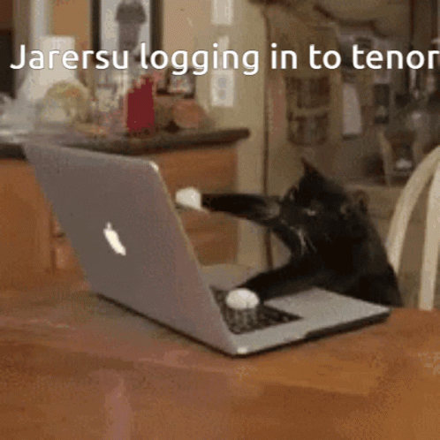 Jarersu Cat GIF - Jarersu Cat Making Gifs GIFs