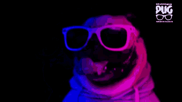 a pug wearing sunglasses and a hoodie with the pug glasses logo in the background