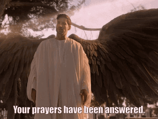 a man with angel wings says " your prayers have been answered " in front of a tree