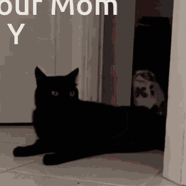 a black cat is laying on the floor in front of a door with our mom y written above it