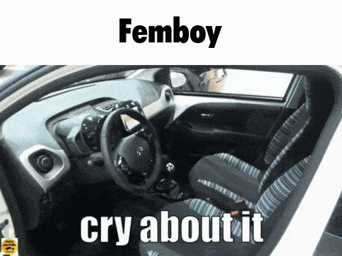 a picture of the inside of a car with the words femboy cry about it