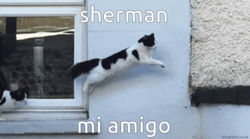 Sherman GIF - Sherman GIFs