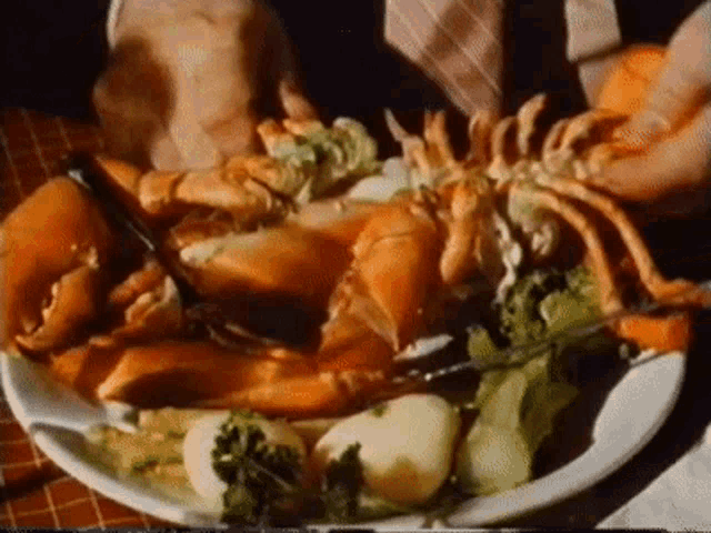 Lobster Meat GIF - Lobster Meat Food GIFs