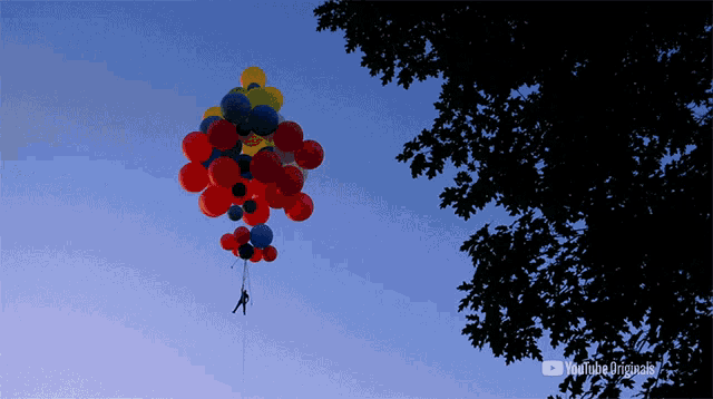 a bunch of balloons hanging from a rope in the sky