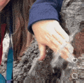 a woman in a blue jacket is holding a rabbit in her hand .