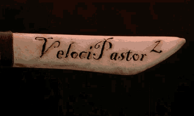 The Velocipastor Veloci Pastor GIF - The Velocipastor Veloci Pastor The Veloci Pastor2 GIFs
