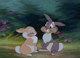 two rabbits are sitting next to each other in a field