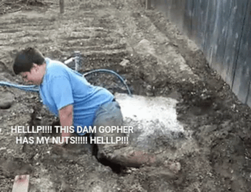 Nuts Funny GIF - Nuts Funny Help GIFs