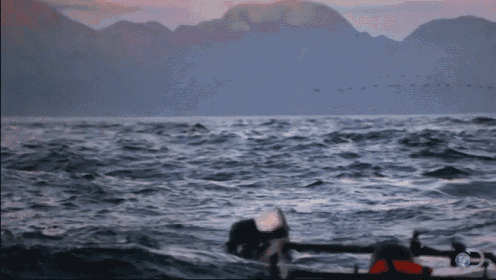 Slo-mo Shark Attack GIF - Ocean Wow Amazing GIFs