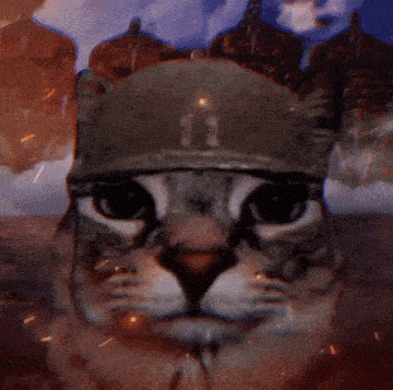 Attack On Titan Cat Cat Stare GIF - Attack On Titan Cat Cat Stare War Cat GIFs