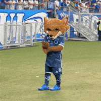 a fox mascot stands on a soccer field in front of a crowd