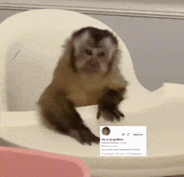 a monkey is sitting in a high chair next to a sign that says mis yj spoilers