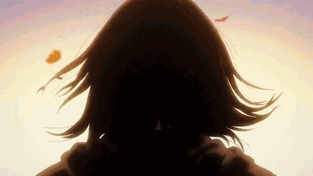 a silhouette of a girl with her hair blowing in the wind .