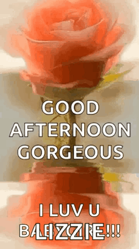 Good Afternoon GIF - Good Afternoon Sparkles GIFs