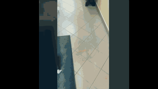 a person walking down a tiled hallway next to a blue rug