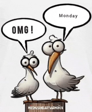 a cartoon of two seagulls with speech bubbles that say omg and monday