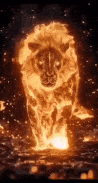 a lion is surrounded by flames and is walking through the fire .