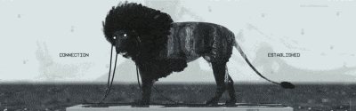 a black and white image of a lion with the words connection and established written below it