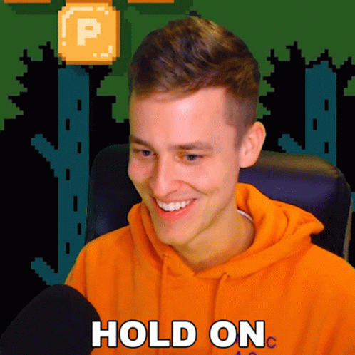 Hold On Redfalcon GIF - Hold On Redfalcon Wait A Minute GIFs