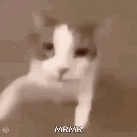a close up of a cat 's face with the words `` mrmr '' written in the corner .