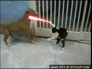 a dog and a cat are playing with a laser beam and the words make gifs at gifsoup.com can be seen
