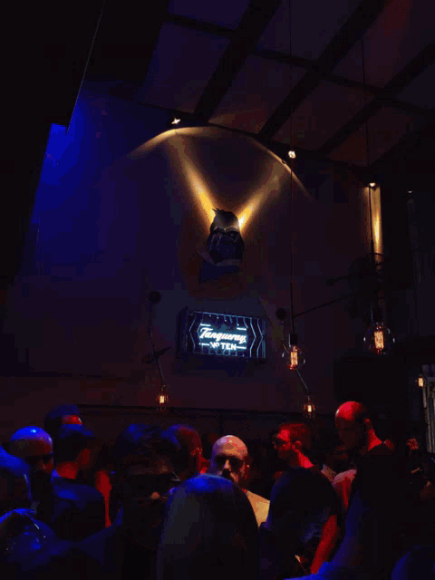 Gorilla γοριλας GIF