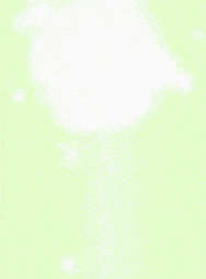 a green background with a light coming out of the center