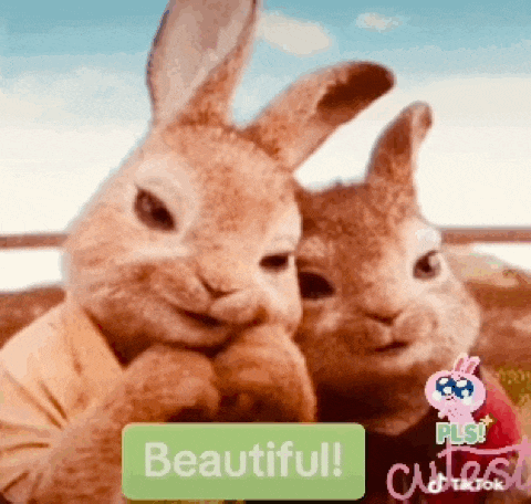 two rabbits are sitting next to each other with a green button that says beautiful on it .