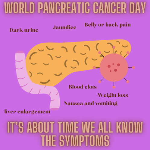 Pancreatic Cancer Day Pancreatic Cancer Awareness GIF