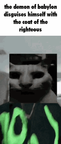 Cat Uncanny Cat GIF - Cat Uncanny Cat Babylon GIFs
