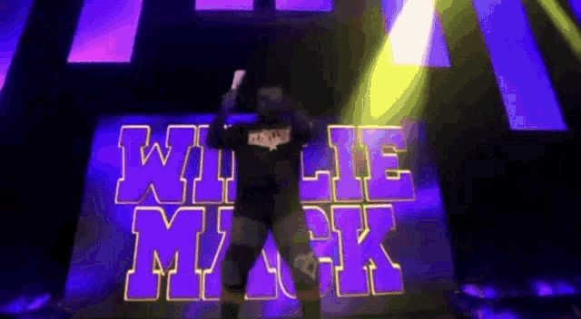 a wrestler is standing in front of a sign that says " willie mask "