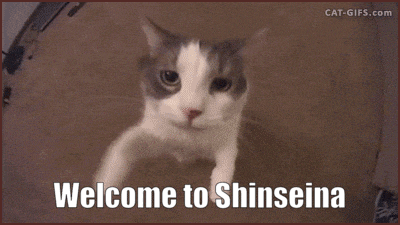 a gray and white cat with the words welcome to shinseina on the bottom