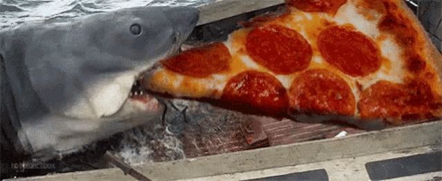 a shark is eating a slice of pepperoni pizza out of a box