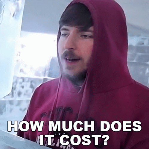 How Much Does It Cost Mr Beast GIF