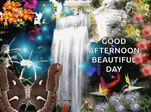 Good Afternoon Beautiful Day GIF - Good Afternoon Beautiful Day Butterfly GIFs