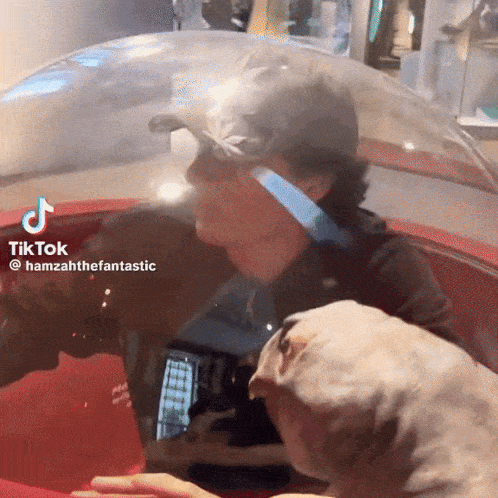 a tiktok video of a man and a dog with the name hamzahthe fantastic on the bottom