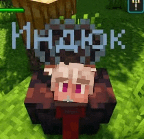 a person is laying on a block in a minecraft game with their head on a block .