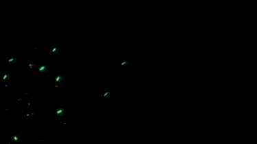 a green lightning strike on a black background