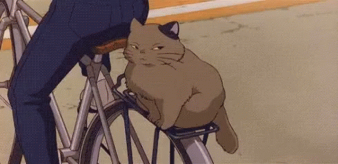 Anime Cat GIF - Anime Cat Stare GIFs