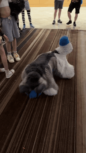 a stuffed animal with a blue hat is laying on a wooden floor