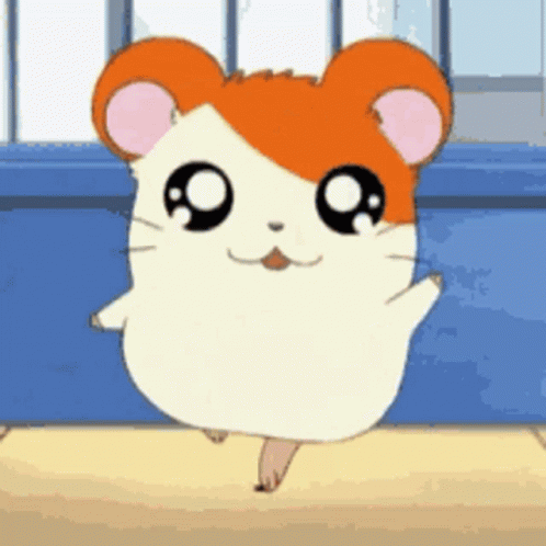 Hamster Cute GIF - Hamster Cute GIFs