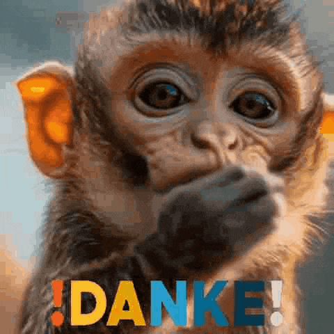 a close up of a monkey 's face with the word danke written on it .