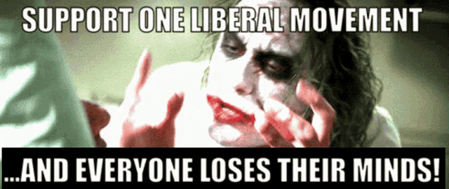 a picture of the joker with the words support one liberal movement and everyone loses their minds