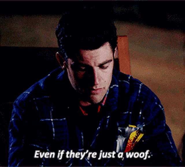 a man in a plaid shirt is saying even if they 're just a woof