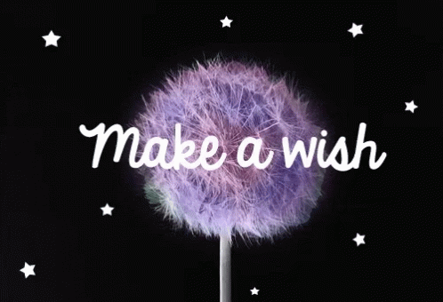 Make A Wish Hope It Comes True GIF - Make A Wish Hope It Comes True GIFs