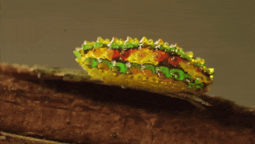 a colorful caterpillar is crawling on a brown surface